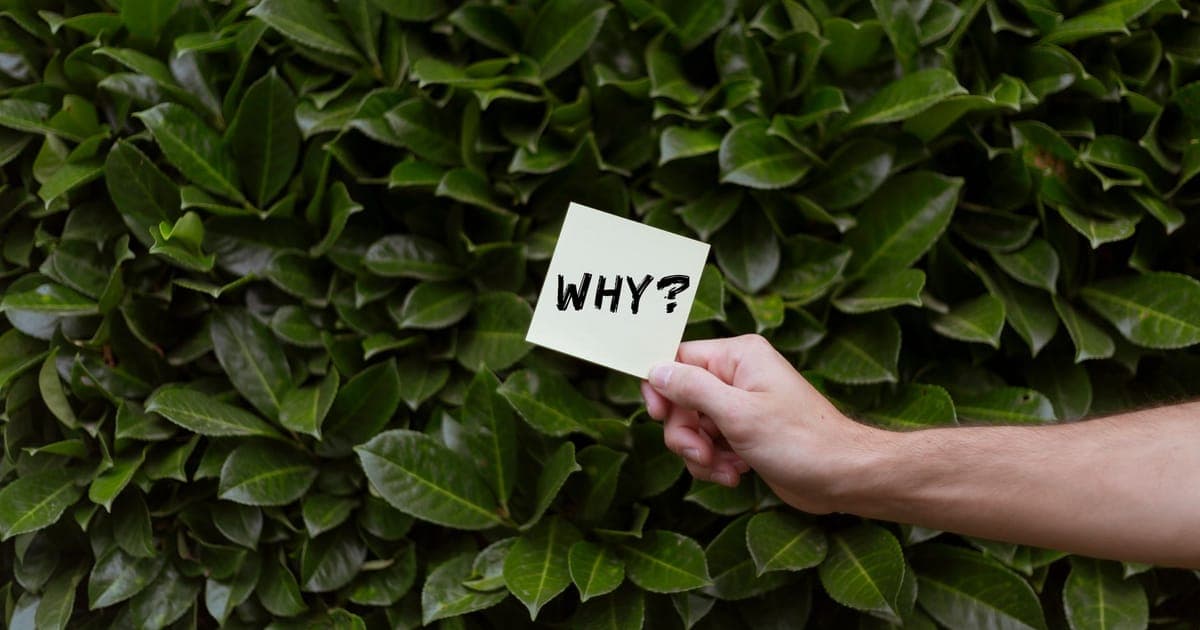 Deflection vs Resolution: Why Answering a Shopify Ticket Isn't the Same as Fixing the Order